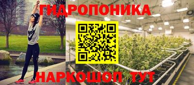 прущие грибы Обь